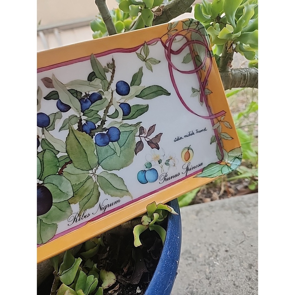 Atelier Michele Trumel Botanical Serving Tray Melamine 15 X 5.75 In. Italy - Picture 3 of 8
